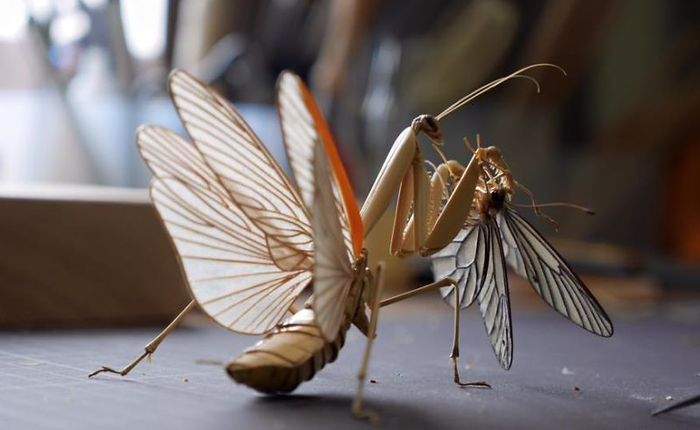 Những con côn trùng tre của nghệ nhân Nhật tinh xảo đến nỗi, chỉ thiếu nước bay lên là biến thành đồ thật