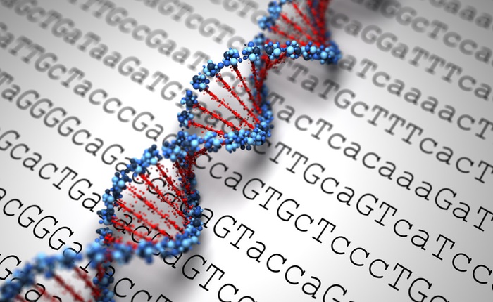 Các nhà khoa học vừa chứng minh có thể chế tạo loại máy tính DNA gần như không có giới hạn về khả năng xử lý