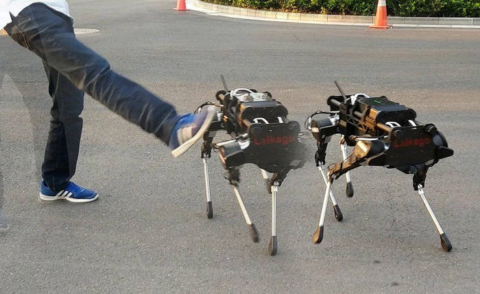 Startup Trung Quốc ra mắt chó robot giá 30.000 USD, giống hệt robot của Google