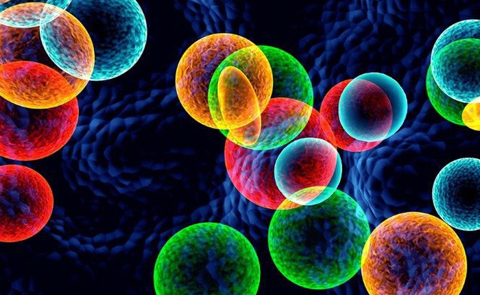 Các nhà khoa học tạo ra "đĩa nano" tiêu diệt khối u ung thư trong 10 ngày