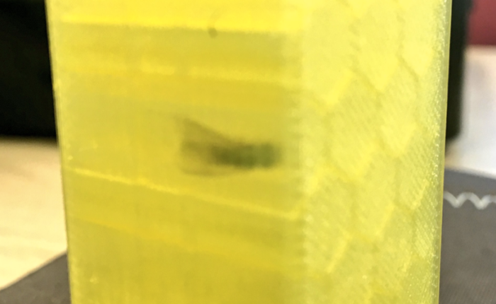 Hóa thạch thế kỷ 21 đây rồi: ruồi kẹt trong khối in 3D