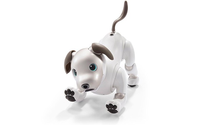 Sony hồi sinh chú chó robot Aibo, sử dụng công nghệ deep learning, kết nối đám mây, giá 1.700 USD kèm thuê bao 26 USD/tháng