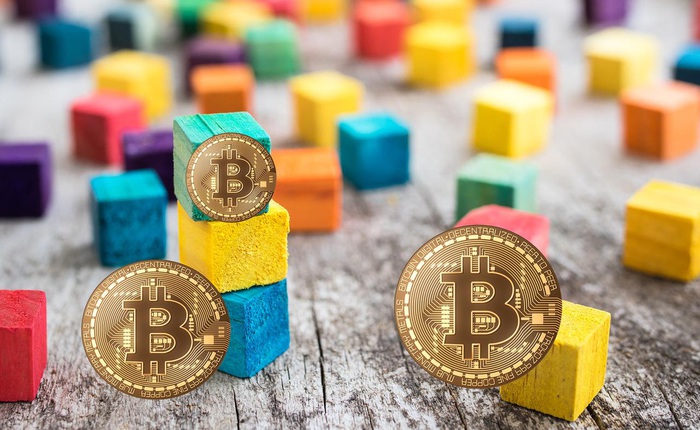 Bitcoin, một xu hướng thanh toán học phí mới của giới thượng lưu