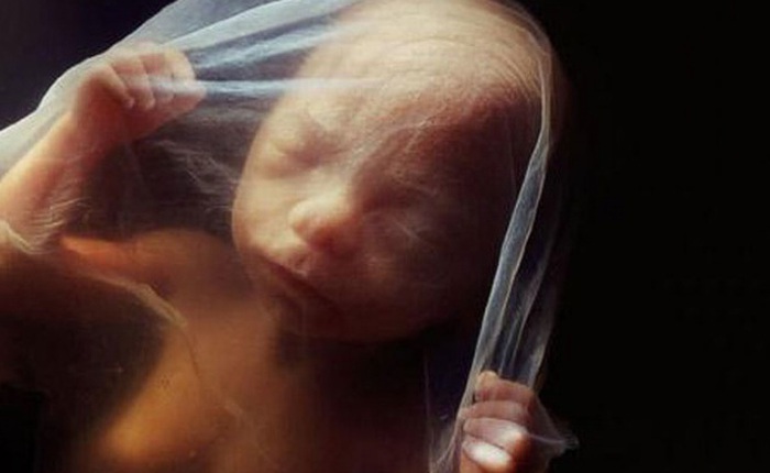 Bộ ảnh ấn tượng ghi lại quá trình thai nhi được hình thành trong bụng mẹ