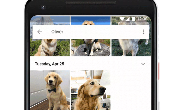 Google Photos giờ đây đã có thể nhận diện được cả thú cưng của bạn