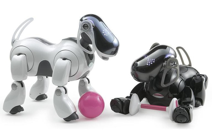 Mảng sản xuất robot thú cưng của Sony chính thức hoạt động trở lại sau 12 năm đình chỉ