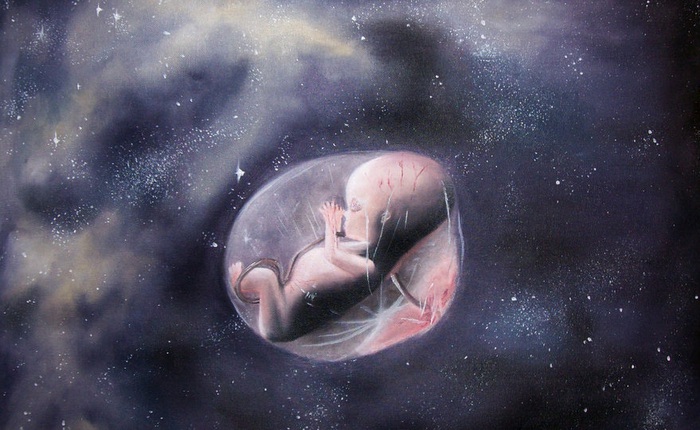 Lứa chuột khỏe mạnh sinh ra từ tinh trùng trên trạm ISS, tới giấc mơ sinh con trong vũ trụ của loài người