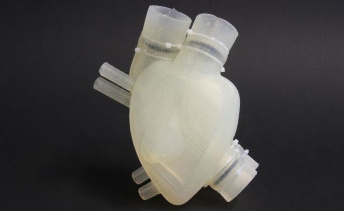 Các nhà khoa học đã in 3D trái tim nhân tạo hoạt động gần như tim người