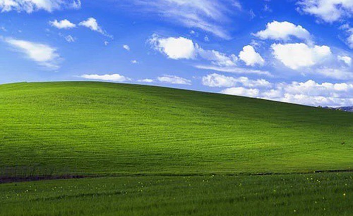 Bạn có biết bức ảnh nền huyền thoại của Windows XP giá bao nhiêu không?