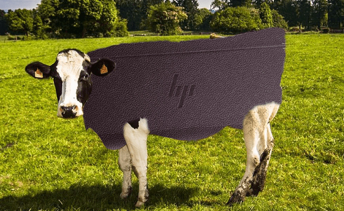 Tính toán vui: HP cần giết bao nhiêu con bò để có đủ da sản xuất laptop Spectre Folios mới?