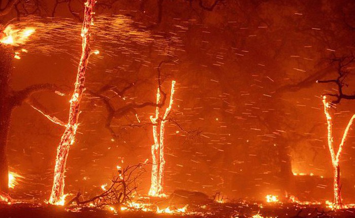 Cháy rừng ở California: Mỗi giây thiêu rụi cả một sân bóng - tại sao lại lan nhanh khủng khiếp đến thế?