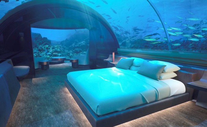 Bên trong khách sạn dưới biển đầu tiên trên thế giới, nơi bạn có thể ngủ cạnh cá mập với chi phí 1 tỷ/1 đêm