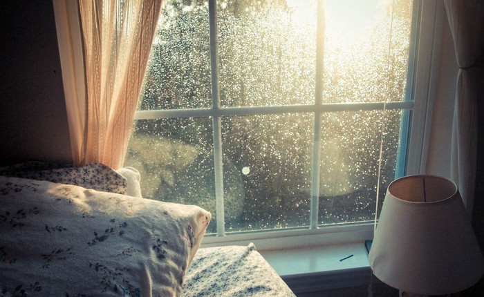 Ánh sáng Mặt Trời sẽ làm giảm lượng vi khuẩn có trong nhà bạn, hãy mở cửa ra để đón nắng!