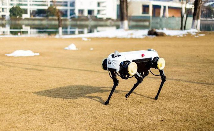 Trung Quốc cái gì cũng làm được, kể cả phiên bản "nhái" y hệt robot chó SpotMini của Boston Dynamics
