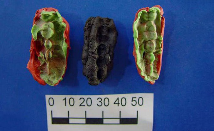 Miếng kẹo cao su 9.500 năm tuổi này có gì thú vị khiến các nhà khoa học nhảy vào nghiên cứu?