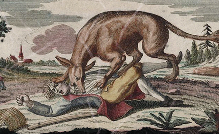 Quái thú ăn thịt người vùng Gévaudan: nỗi kinh hãi của người dân Pháp hồi thế kỷ 18