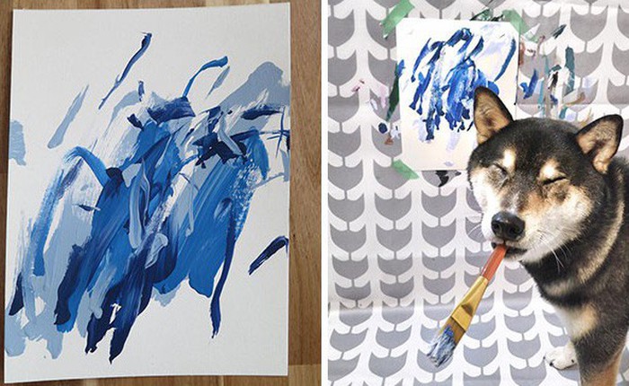Chú chó shiba giúp chủ kiếm hơn 116 triệu đồng nhờ tài vẽ tranh trừu tượng