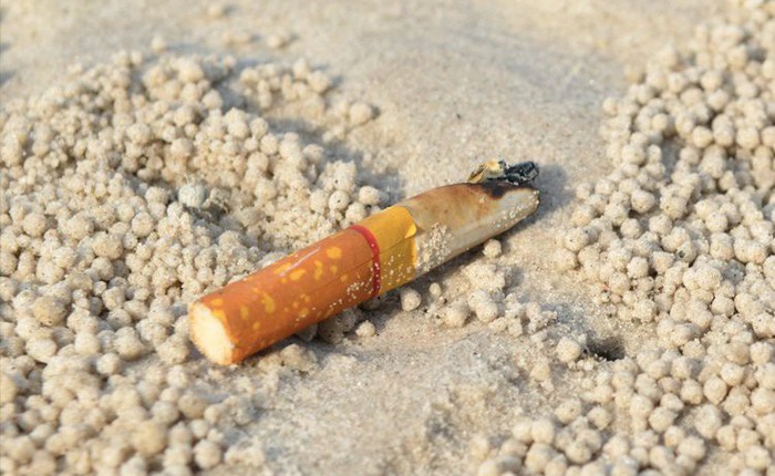 Hơn 60 triệu đầu lọc thuốc lá trong đại dương có thể đã giải phóng asen, chì và nicotin vào thực phẩm bạn ăn