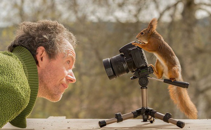 Theo chân loài sóc suốt 6 năm, nhiếp ảnh gia tạo nên bộ hình cực nghệ thuật về đời sống của chúng