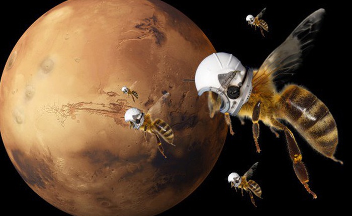 NASA bí mật phát triển robot giống loài ong để khám phá Sao Hỏa