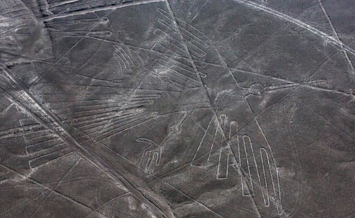 Không biết do vô tình hay cố ý, tài xế này vừa xé nát những hình vẽ ngàn năm tuổi trên cao nguyên Nazca