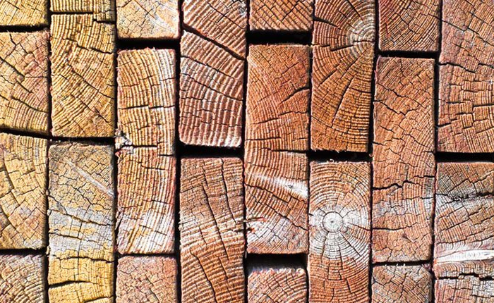Các nhà khoa học đã tạo ra một loại "siêu gỗ" cứng và bền chả kém gì sợi Carbon
