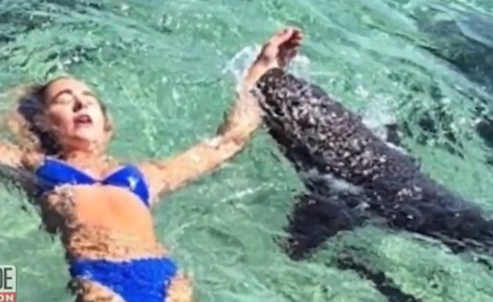 Người mẫu Instagram với hơn 30 ngàn follow đang chụp hình thả dáng trên biển thì bị cá mập tấn công