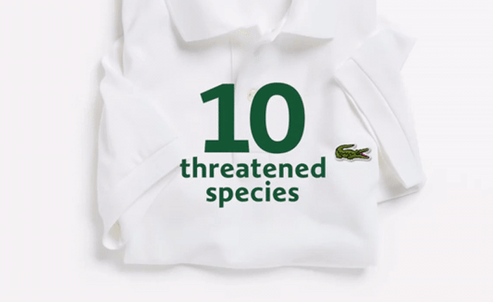 Lacoste thay thế logo cá sấu trên áo polo bằng 10 loài động vật có nguy cơ tuyệt chủng