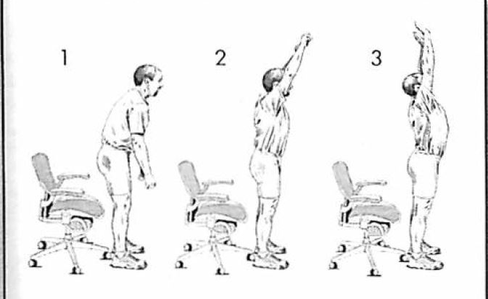 Hướng dẫn đứng và ngồi đúng cách, giúp dân văn phòng giảm nguy cơ đau mỏi cột sống