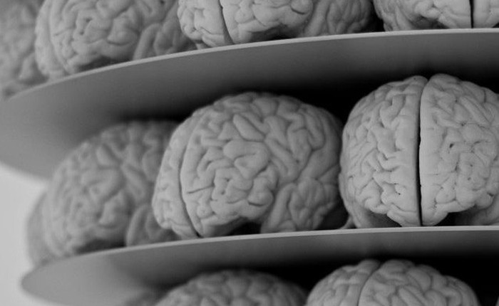 Các nhà khoa học đã tìm ra thuật toán mô phỏng bộ não con người, nhưng tiếc là không có cỗ máy nào có thể vận hành chúng được