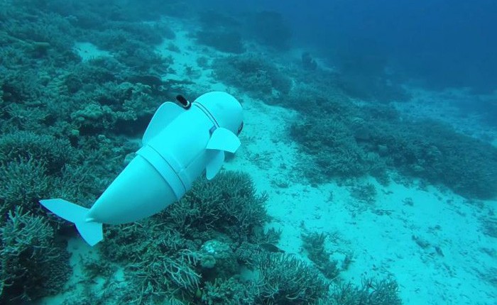 MIT vừa chế tạo một con rô bốt cá mập y như thật