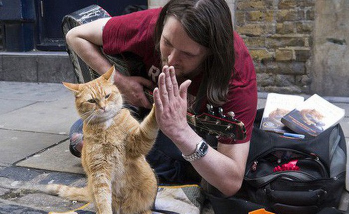 Cuộc đời chàng nghệ sĩ nghèo, nghiện ngập, vô gia cư bước sang trang mới nhờ... một chú mèo!