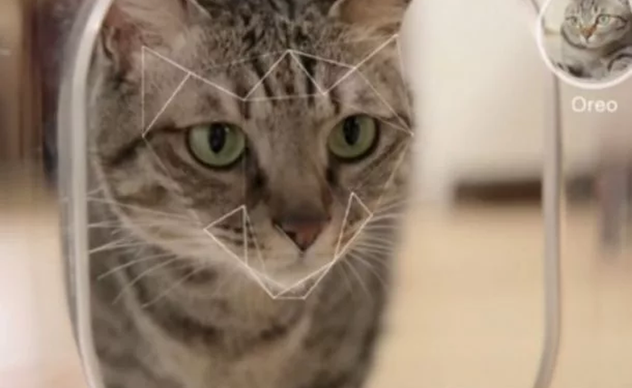 Camera nhận diện mặt mèo, giúp nó nhắn tin cho ông chủ mỗi khi muốn vào nhà