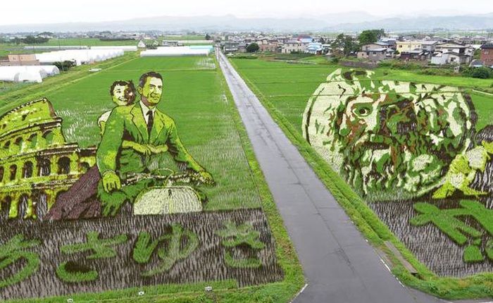 Có một cánh đồng lúa đặc biệt chuyên tạo ra các nhân vật hoạt hình nổi tiếng ở Nhật Bản