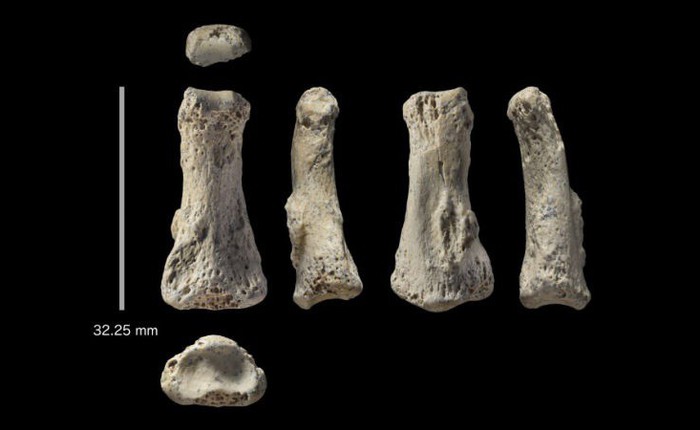 Một mẫu xương ngón tay 88.000 năm tuổi có thể khiến lịch sử loài người phải viết lại