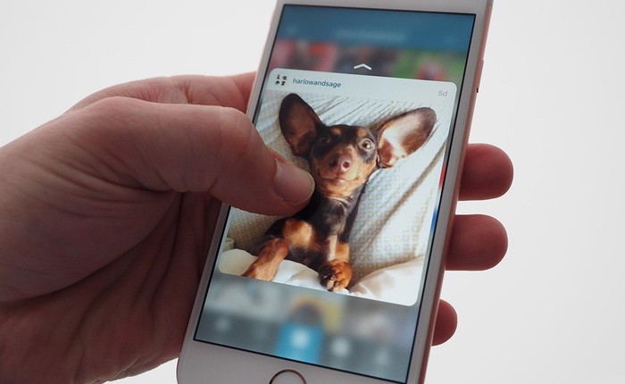 Apple sẽ loại bỏ tính năng 3D Touch trên phiên bản iPhone giá rẻ sắp ra mắt