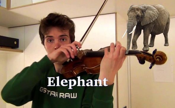 Thanh niên dùng violin để nhái tiếng voi, dế, bò và nhiều con khác nữa