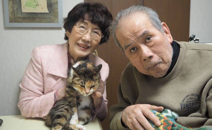 Bỏ cả nghìn đô để tìm mèo đi lạc và câu chuyện về nghề nghiệp đặc biệt chỉ có ở Nhật Bản