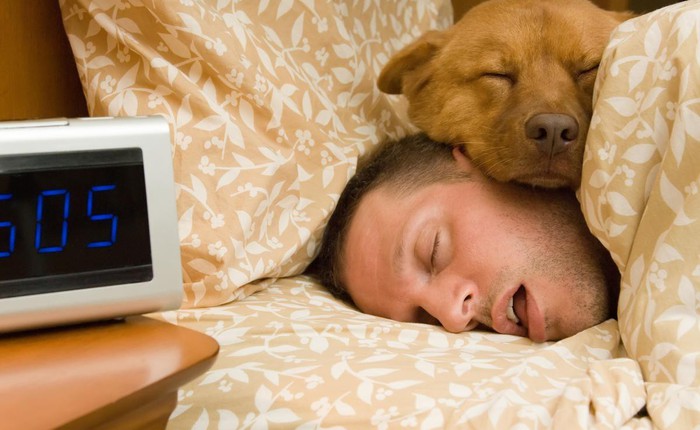 Thói quen ngủ nướng vào cuối tuần hóa ra đem lại tác dụng có lợi không tưởng