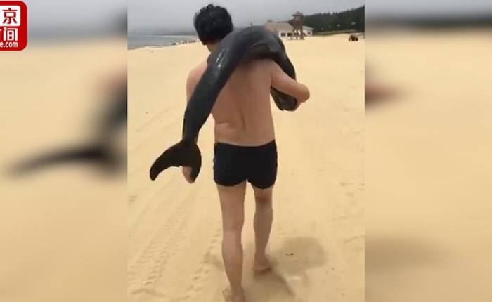 Cảnh sát Trung Quốc truy lùng du khách bắt trộm cá heo mắc kẹt trên bãi biển