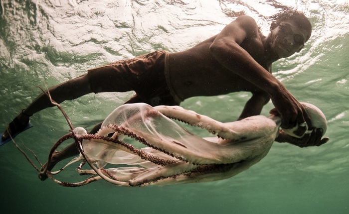 Tiến hóa vẫn đang xảy ra ở bộ tộc miền biển này, giúp họ lặn sâu gần 80m và nhịn thở hơn 3 phút