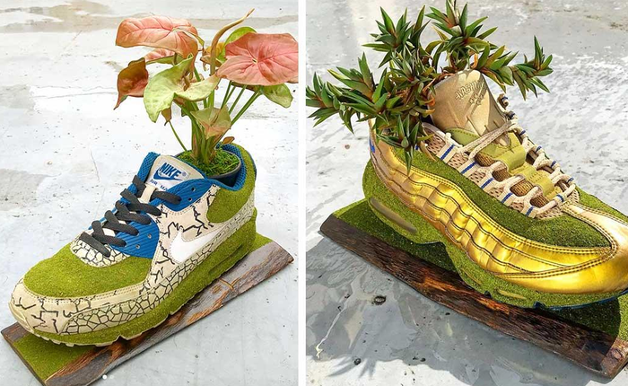 BST cây cảnh trồng trong giày khiến mọi 'sneakerhead' phải suýt xoa ngưỡng mộ