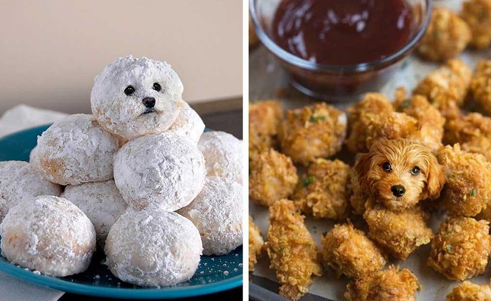 Chỉ có ảnh chó và thức ăn, trang Instagram này sẽ khiến mọi muộn phiền của bạn tan biến