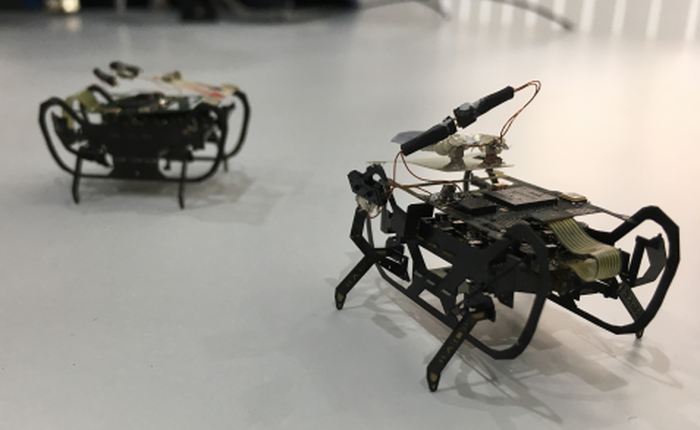Rolls-Royce đang phát triển robot gián, có thể bò vào để sửa động cơ máy bay