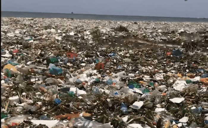 Clip bãi biển nhiều rác tới mức sóng không đánh nổi ở Dominica gióng lên hồi chuông cảnh tỉnh về ô nhiễm môi trường