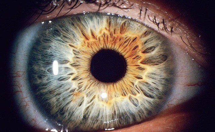 Nghiên cứu mới: công nghệ quét mống mắt có thể phân biệt được mắt người sống và người chết, độ chính xác lên tới 99%