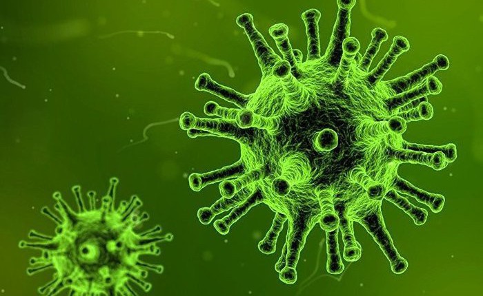 Danh sách những virus chết chóc nhất trong lịch sử nhân loại: từ virus cúm cho tới HIV