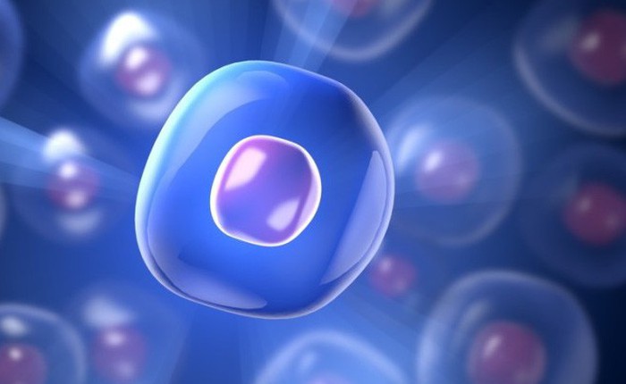 Các nhà khoa học Anh đảo ngược được quá trình lão hóa của tế bào người trong phòng thí nghiệm