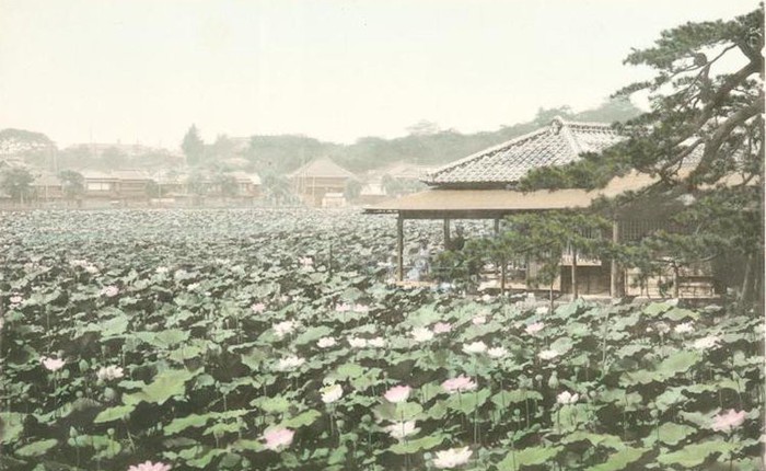 Vẻ đẹp quá khứ của Tokyo từ thế kỷ 12 được thể hiện chân thực qua những bức vẽ và ảnh chụp quý giá