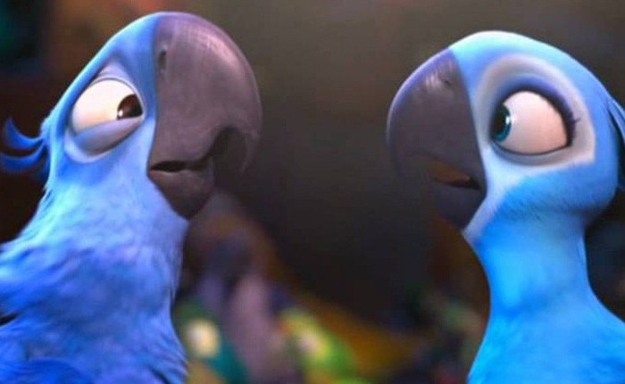 Đau lòng: Giống vẹt xanh đuôi dài làm nguồn cảm hứng cho bộ phim "Rio" đã chính thức bị tuyệt chủng ngoài thiên nhiên